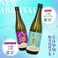 酒井 87【EP】酒井法子 - 渚のファンタシィ *2nd/レンタル落 | 音盤窟レコード